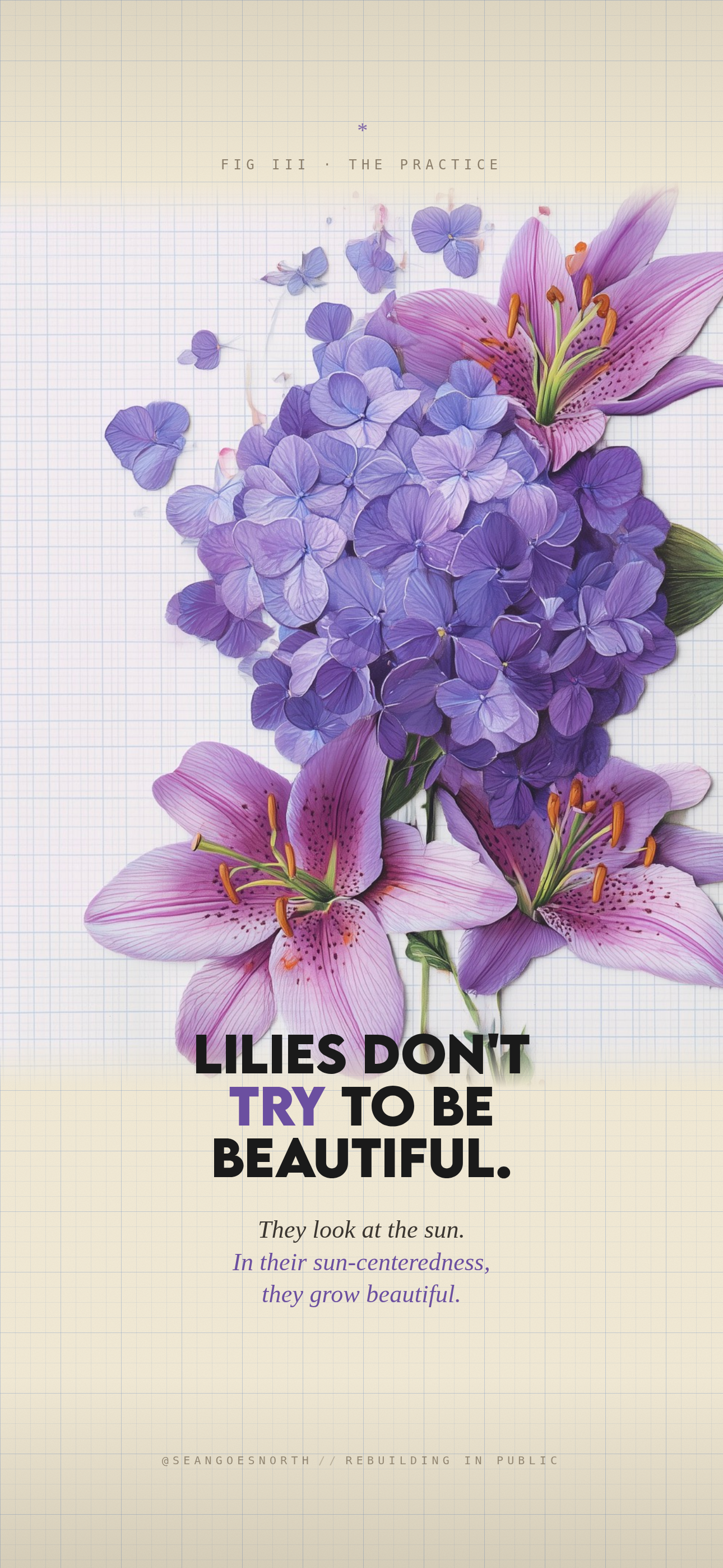 Purple lily botanical wallpaper